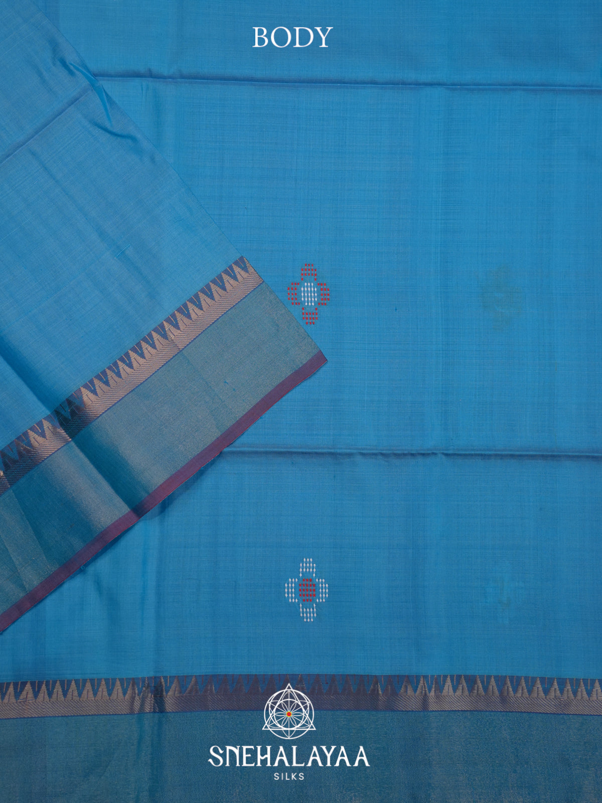 Sky Blue Behrampuri Silk Saree