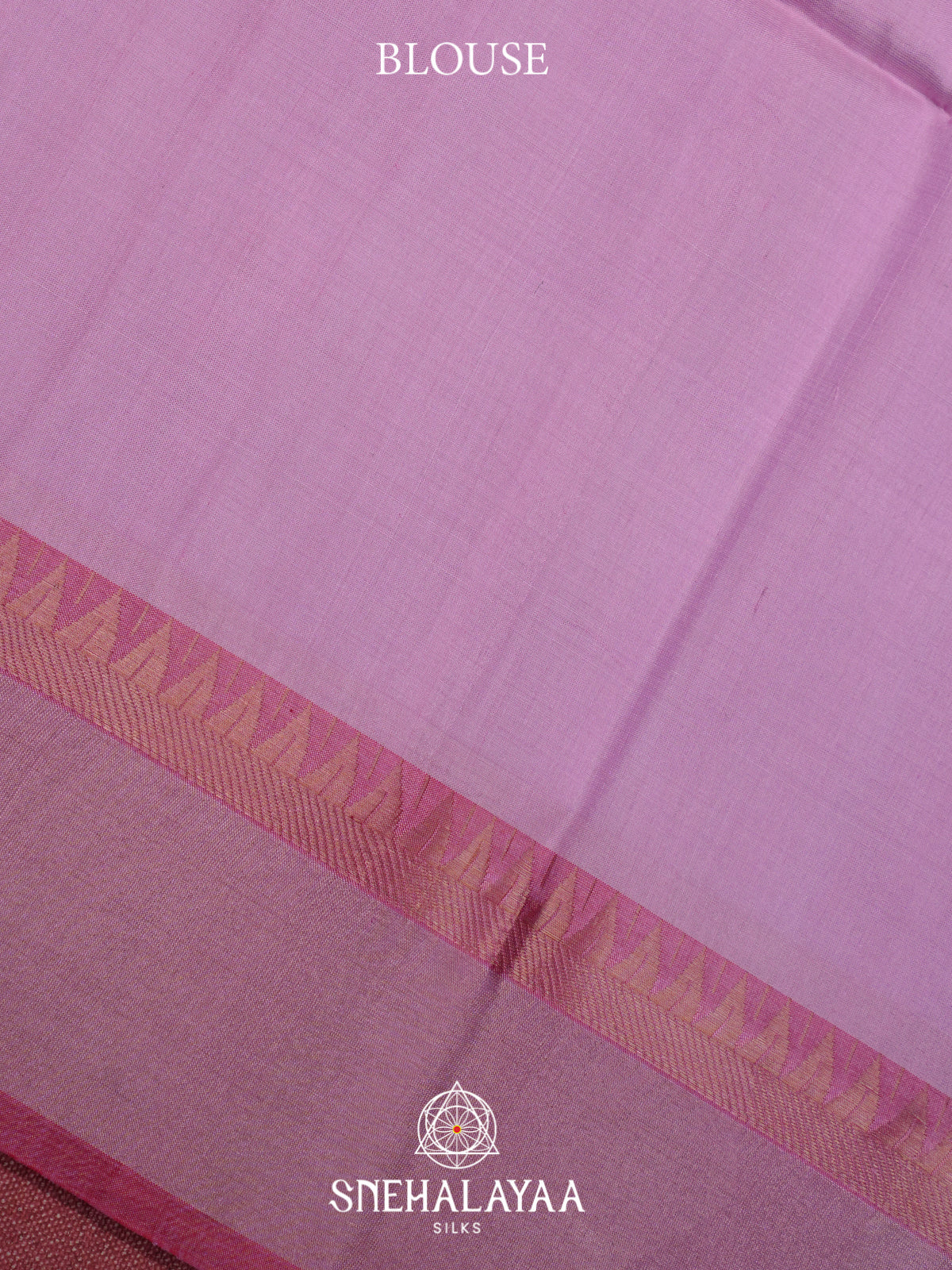 Sky Blue Behrampuri Silk Saree