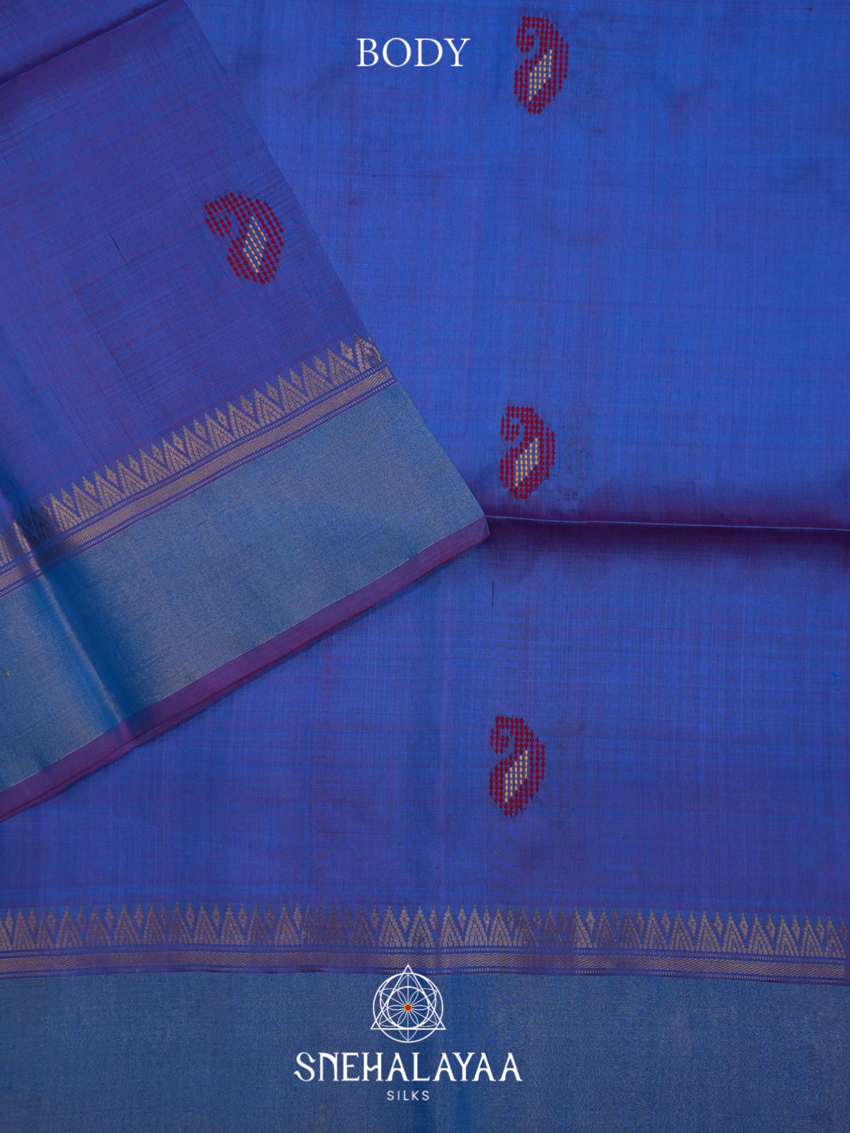 Blue Behrampuri Silk Saree