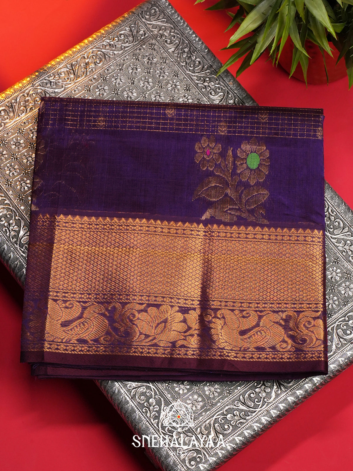 Violet Kuppadam Silk Cotton Saree