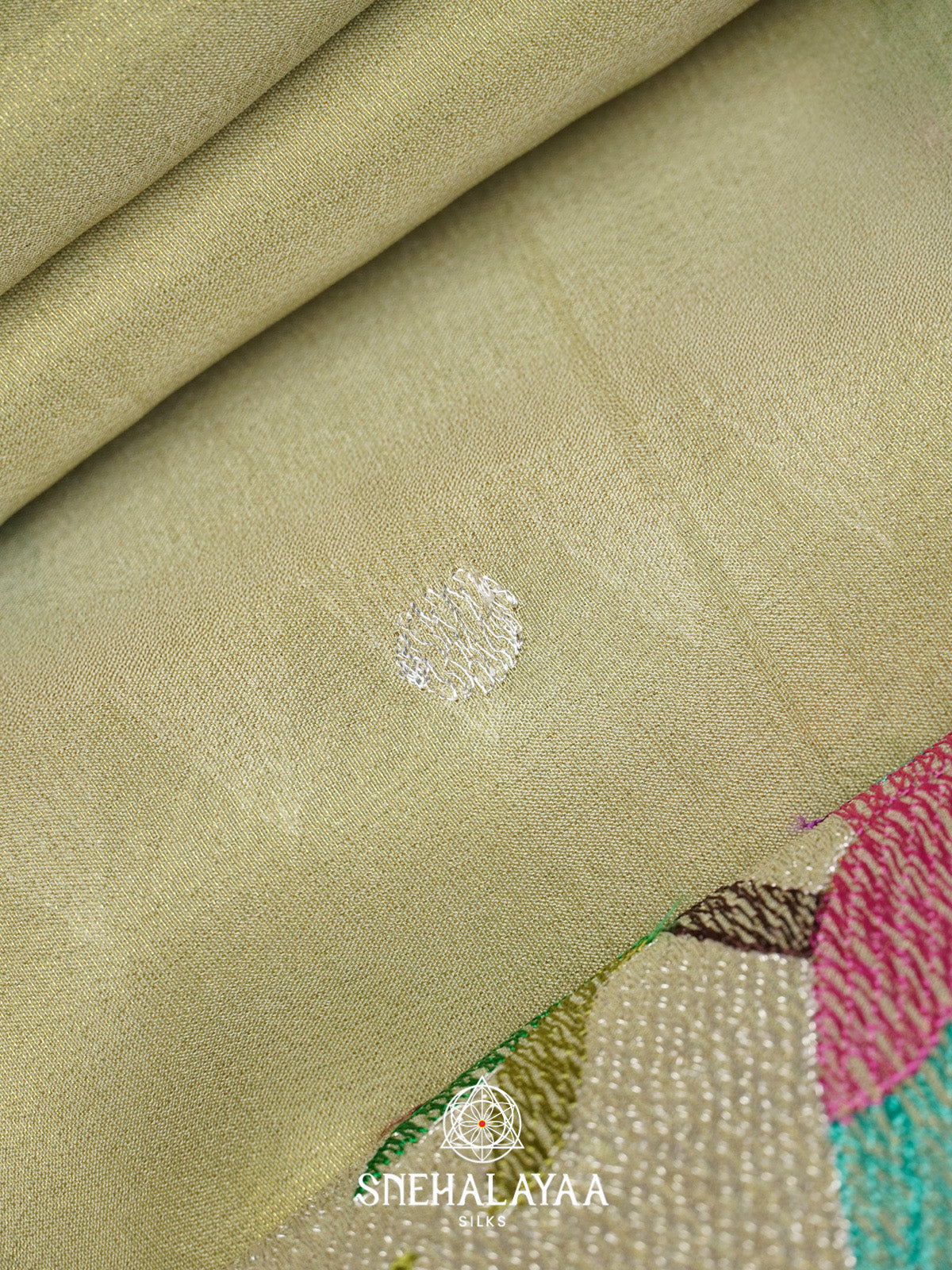Sage Green Tissue Saree with Paithani Design