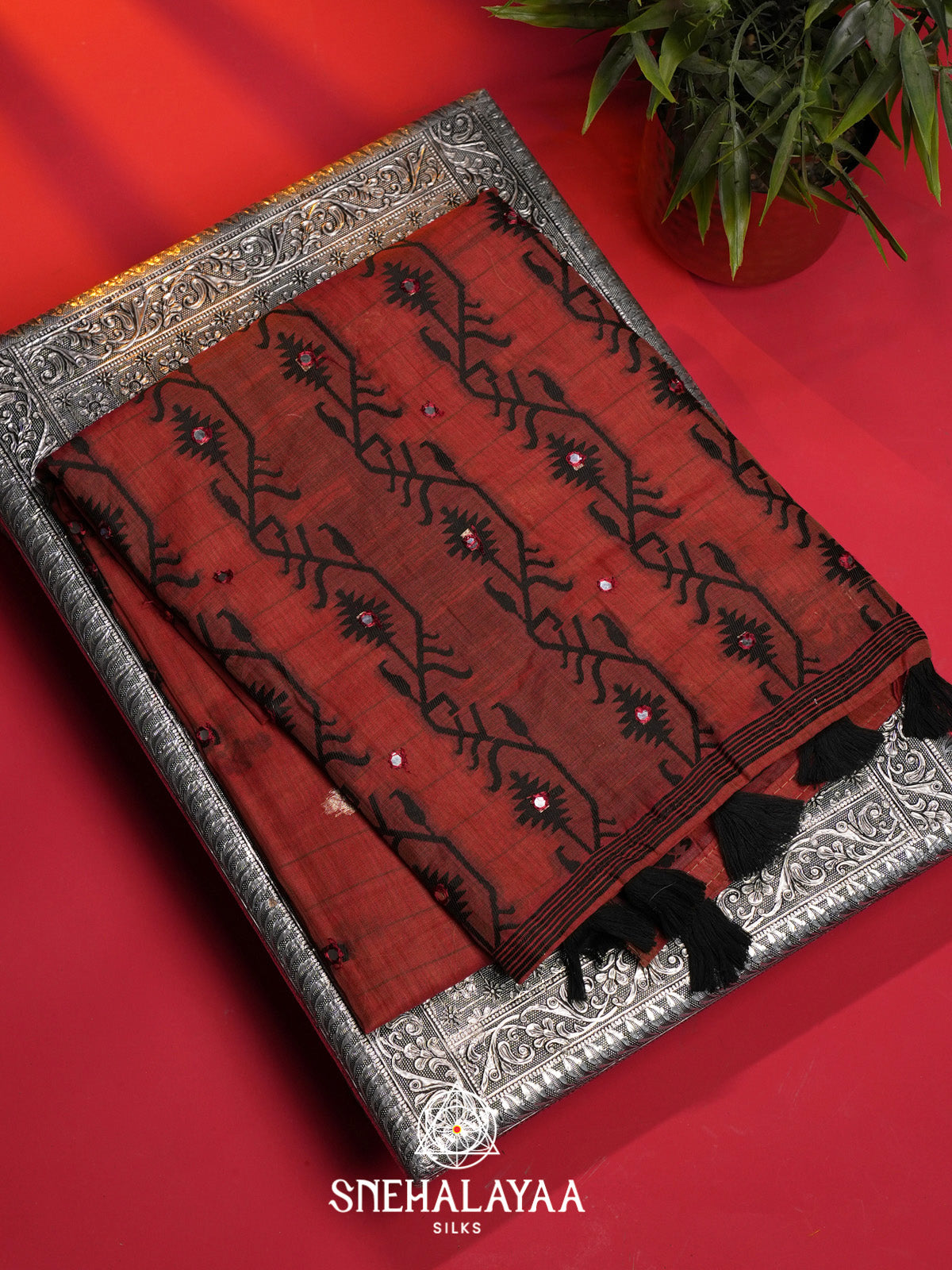 Coral Kota Cotton Saree