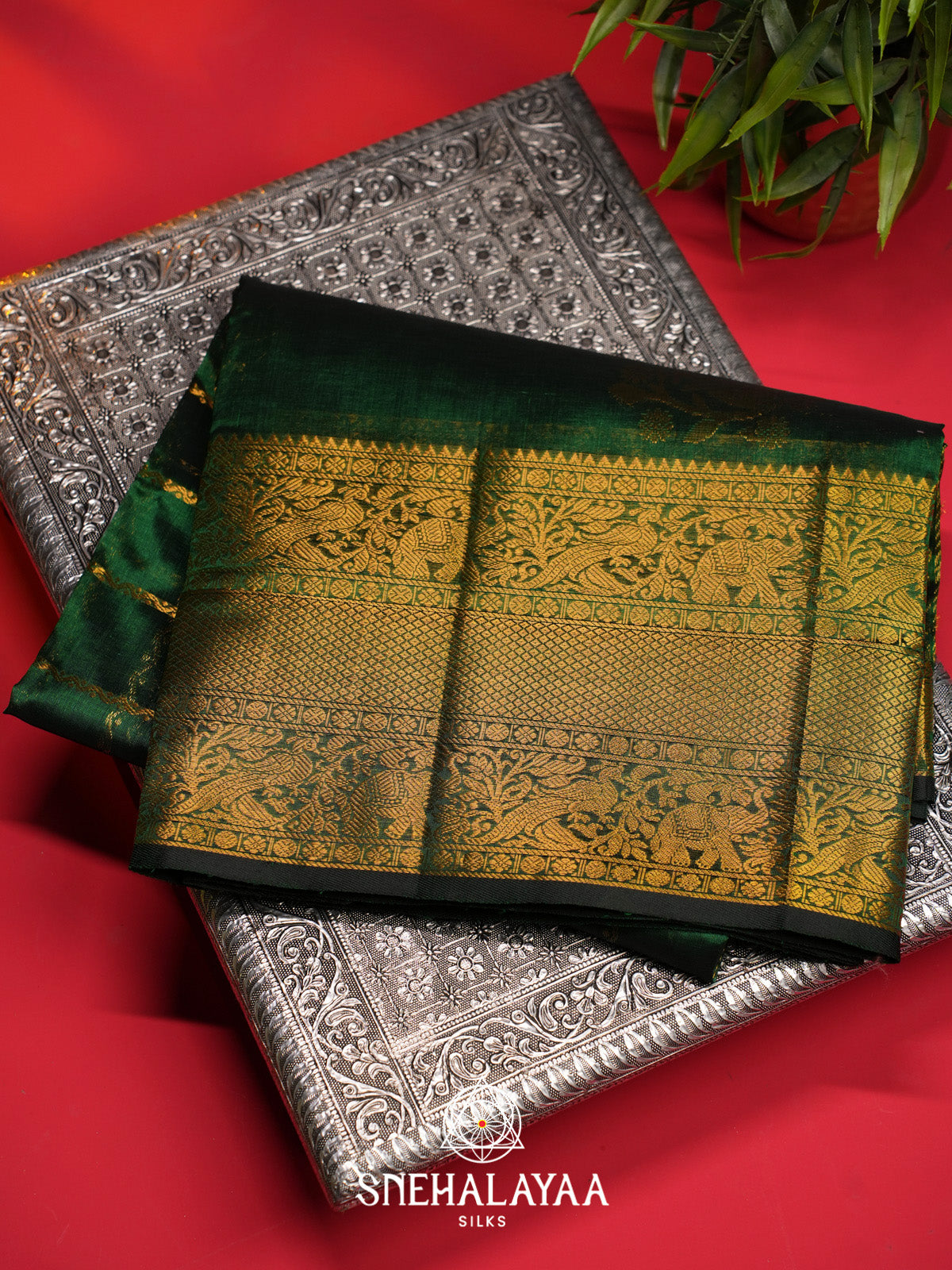 Bottle Green Checks Silk Cotton Saree with Gold Zari Border