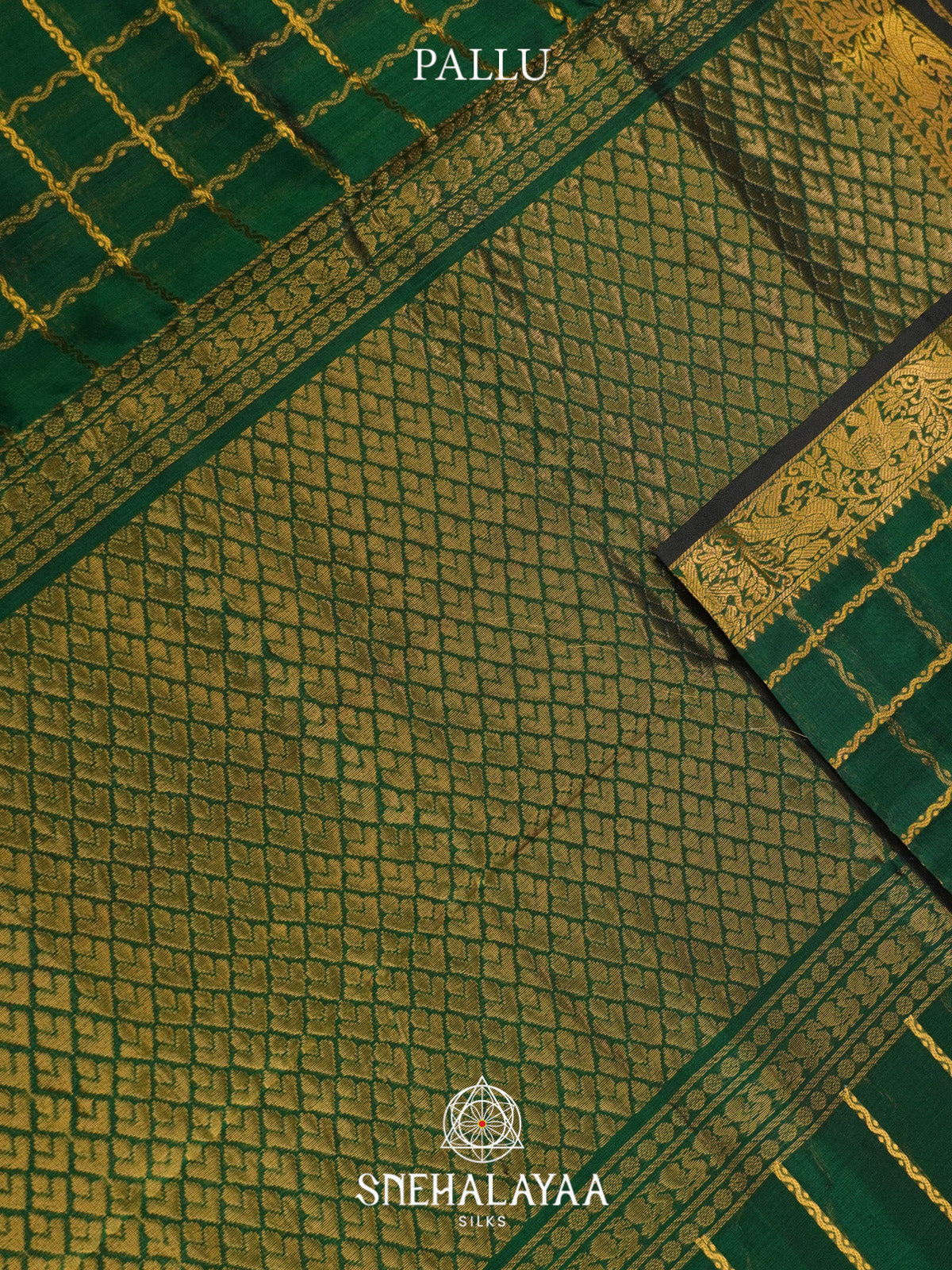 Bottle Green Checks Silk Cotton Saree with Gold Zari Border