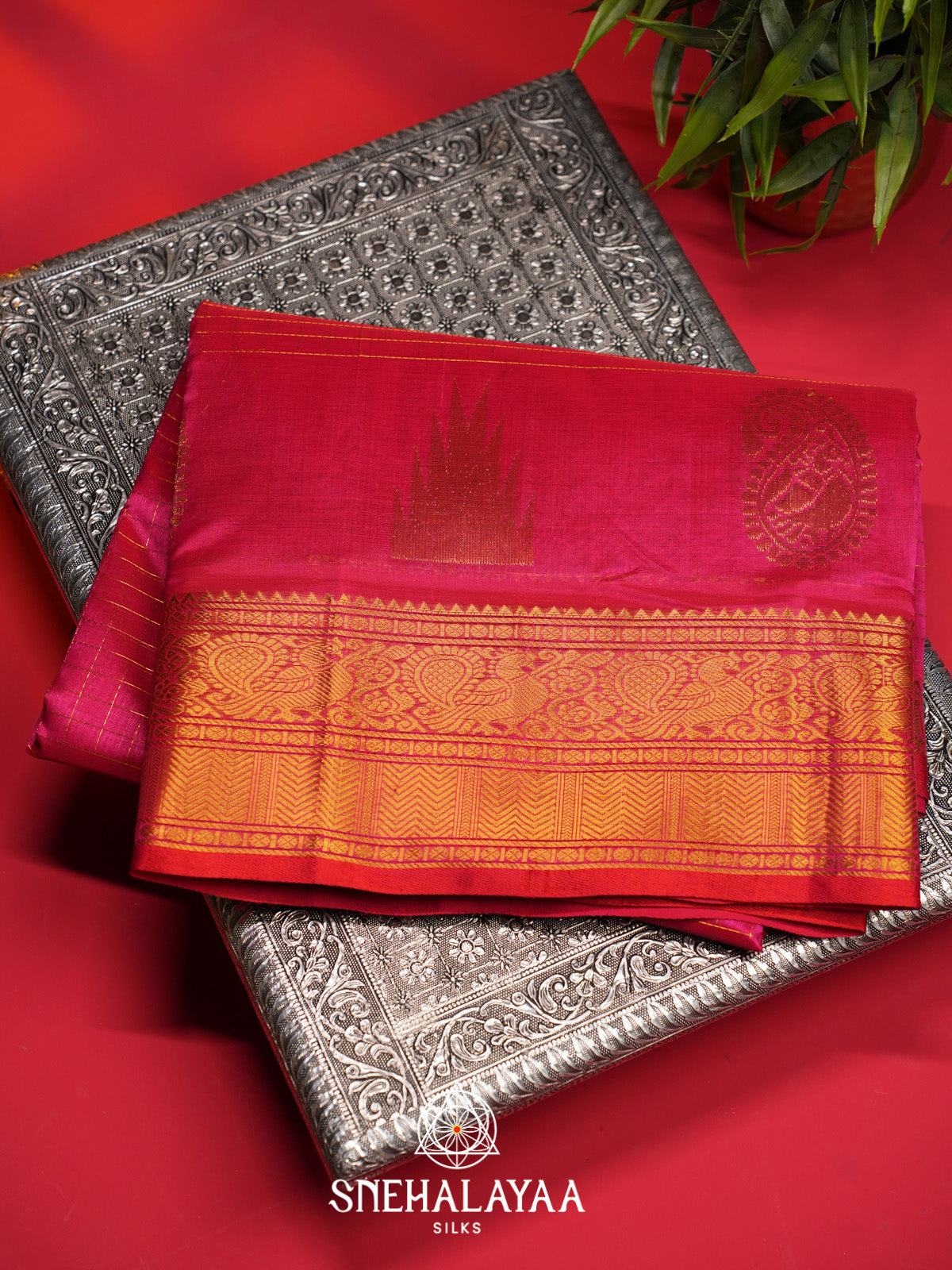 Rani Pink Checks Silk Cotton Saree with Gold Zari Border