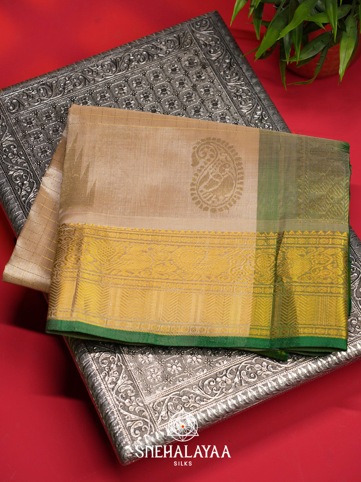 Cream Checks Silk Cotton Saree with Gold Zari Border