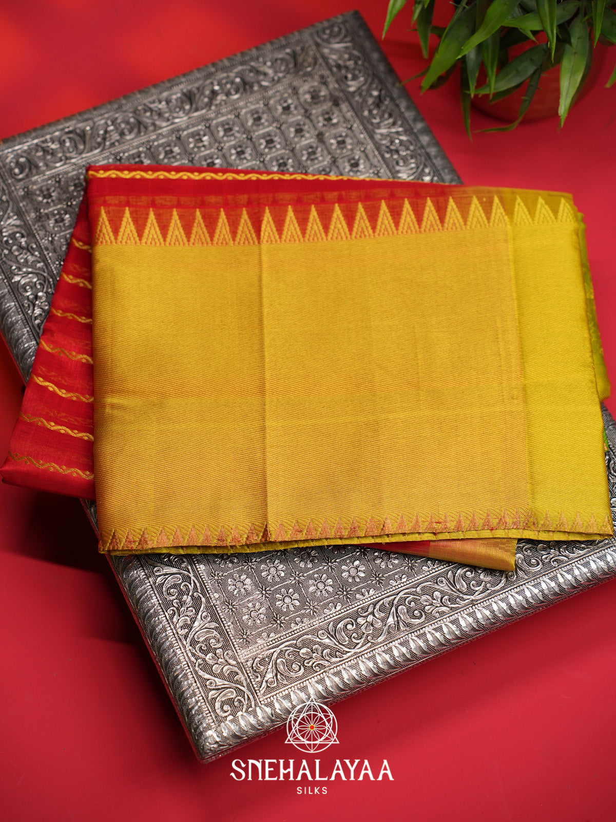 Red Striped Silk Cotton Saree with Mustard Gold Border