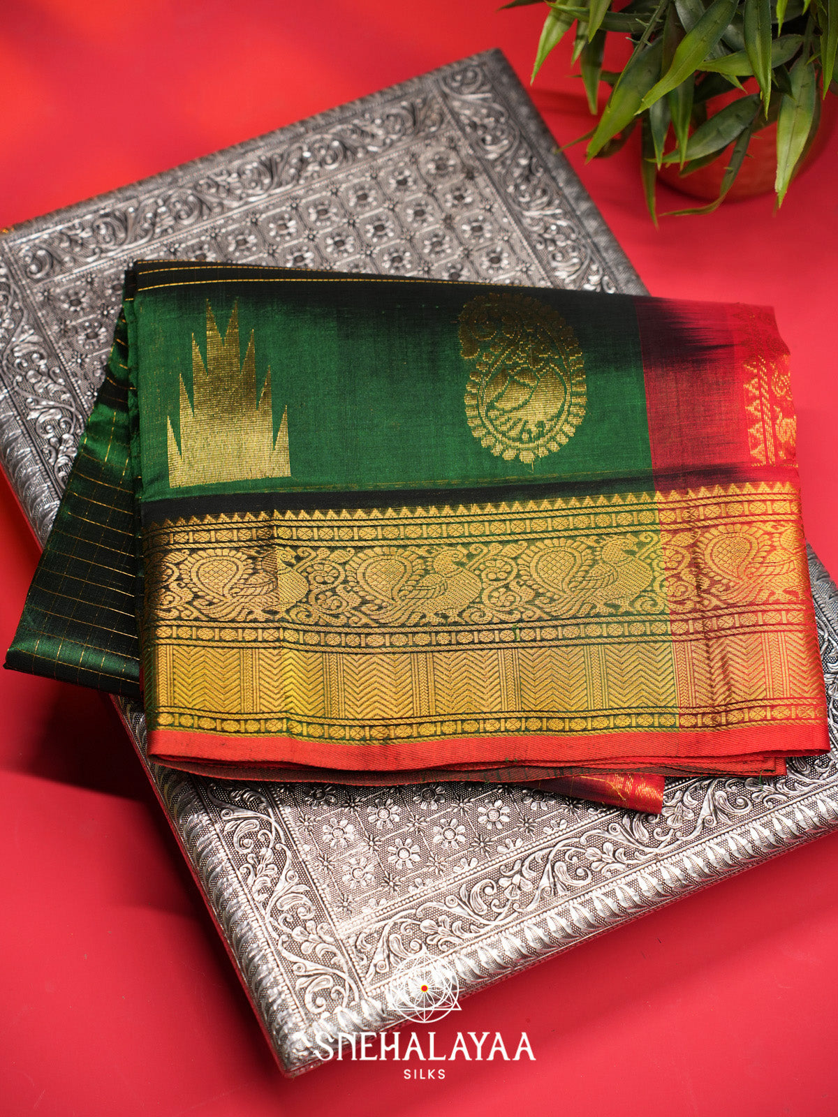 Bottle Green Checks Silk Cotton Saree with Gold Zari Border