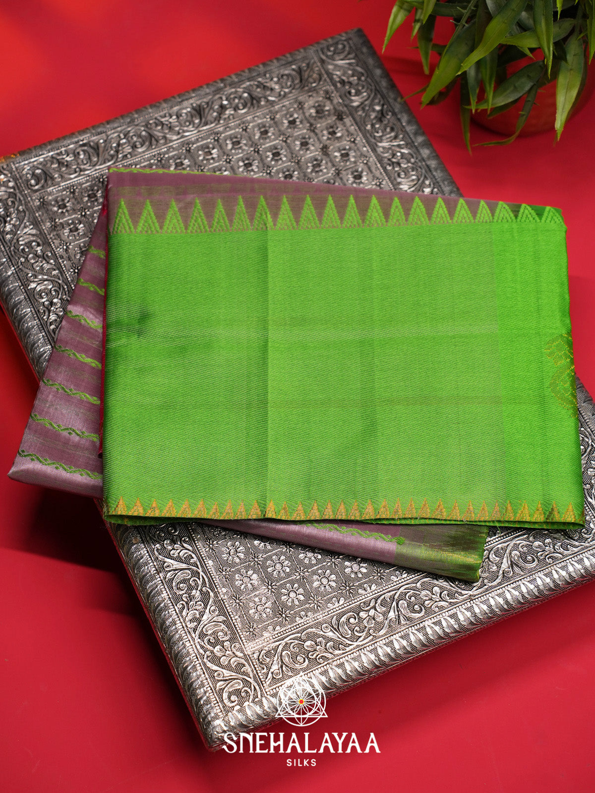 Dusty Mauve Striped Silk Cotton Saree with Green Border