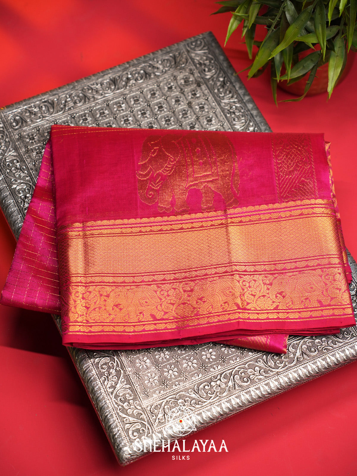 Rani Pink Checks Silk Cotton Saree with Gold Zari Border