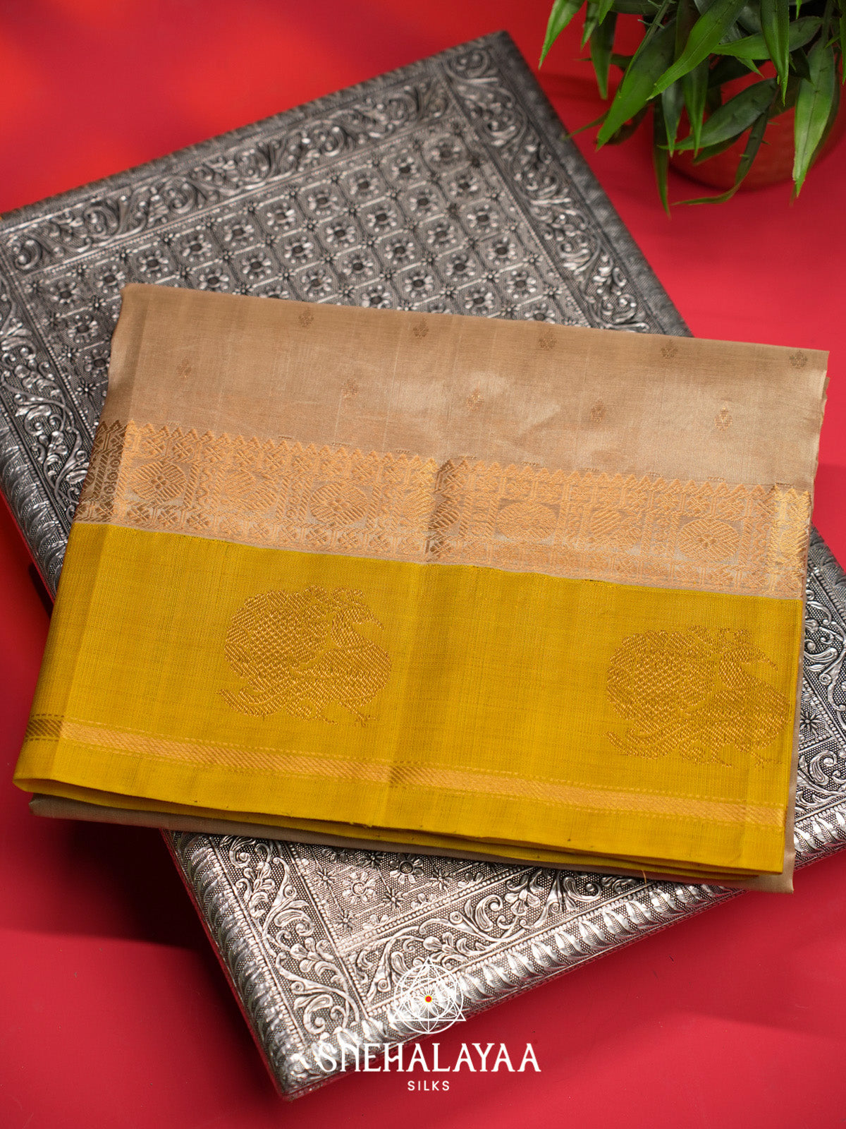 Beige Silk Cotton Saree with Mustard Yellow Border