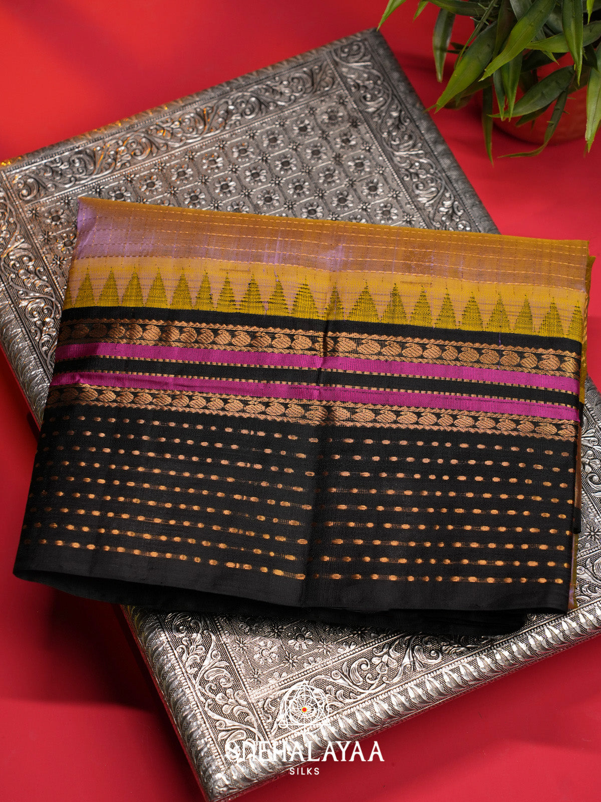 Lavender Checks Silk Cotton Saree with Black and Magenta Border