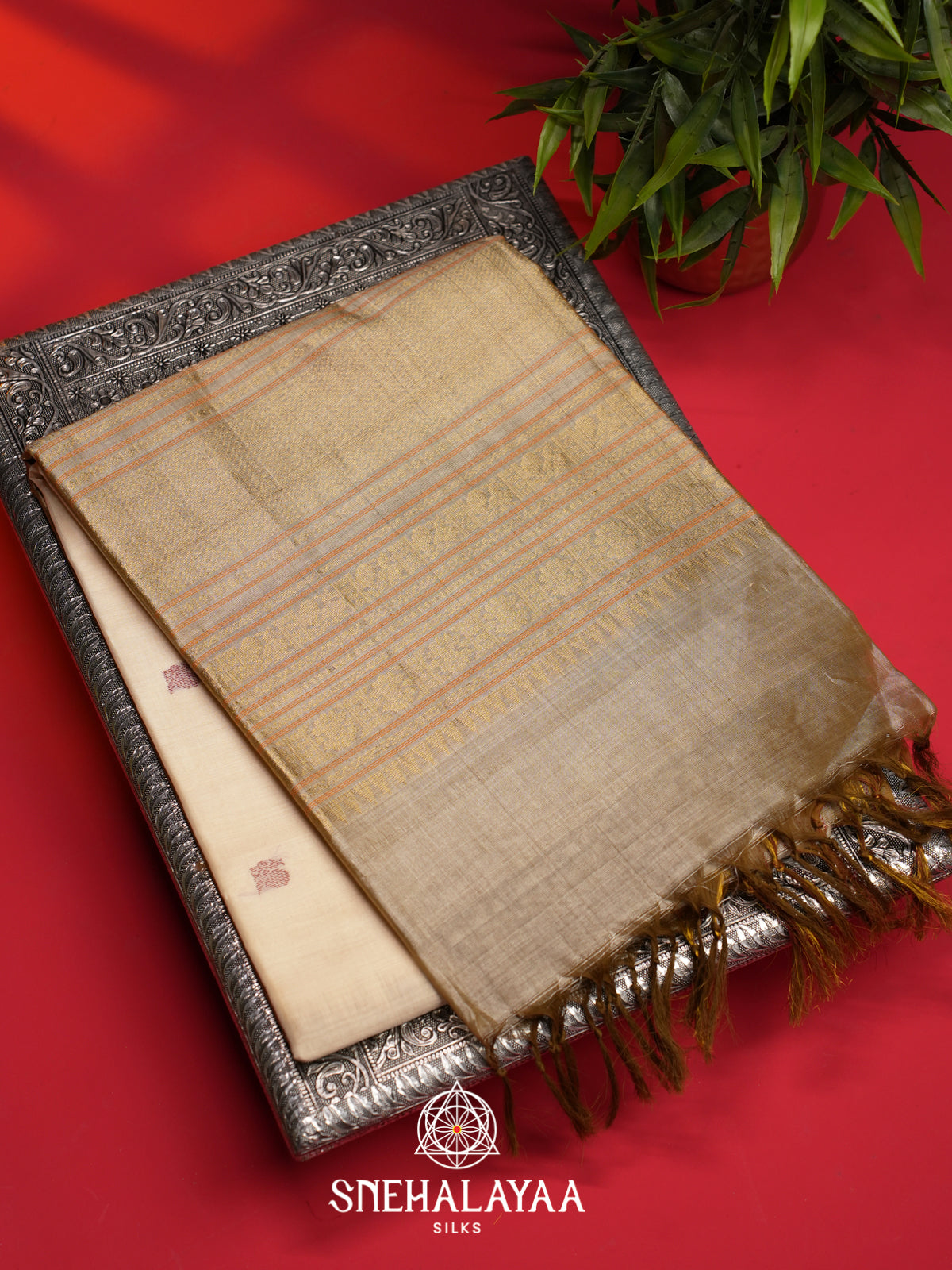 Beige Kuppadam Silk Cotton Saree