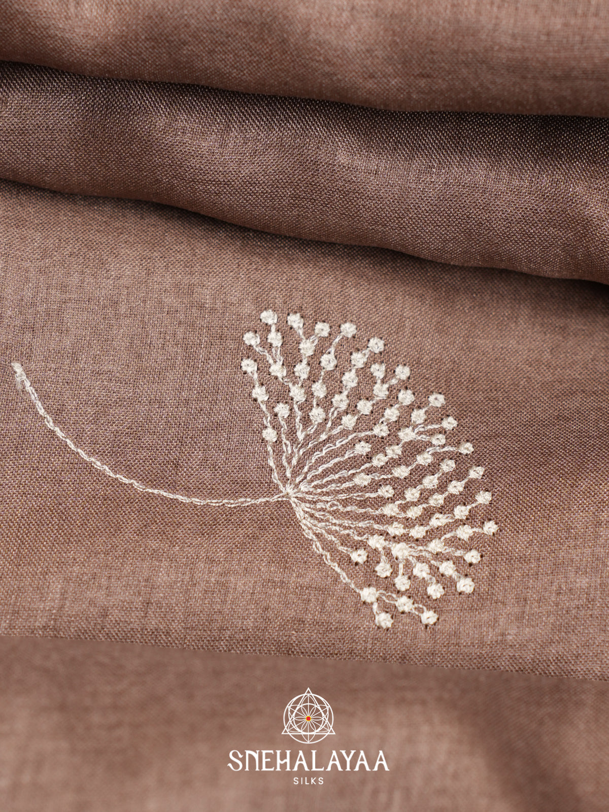 Pale Brown Tussar Saree