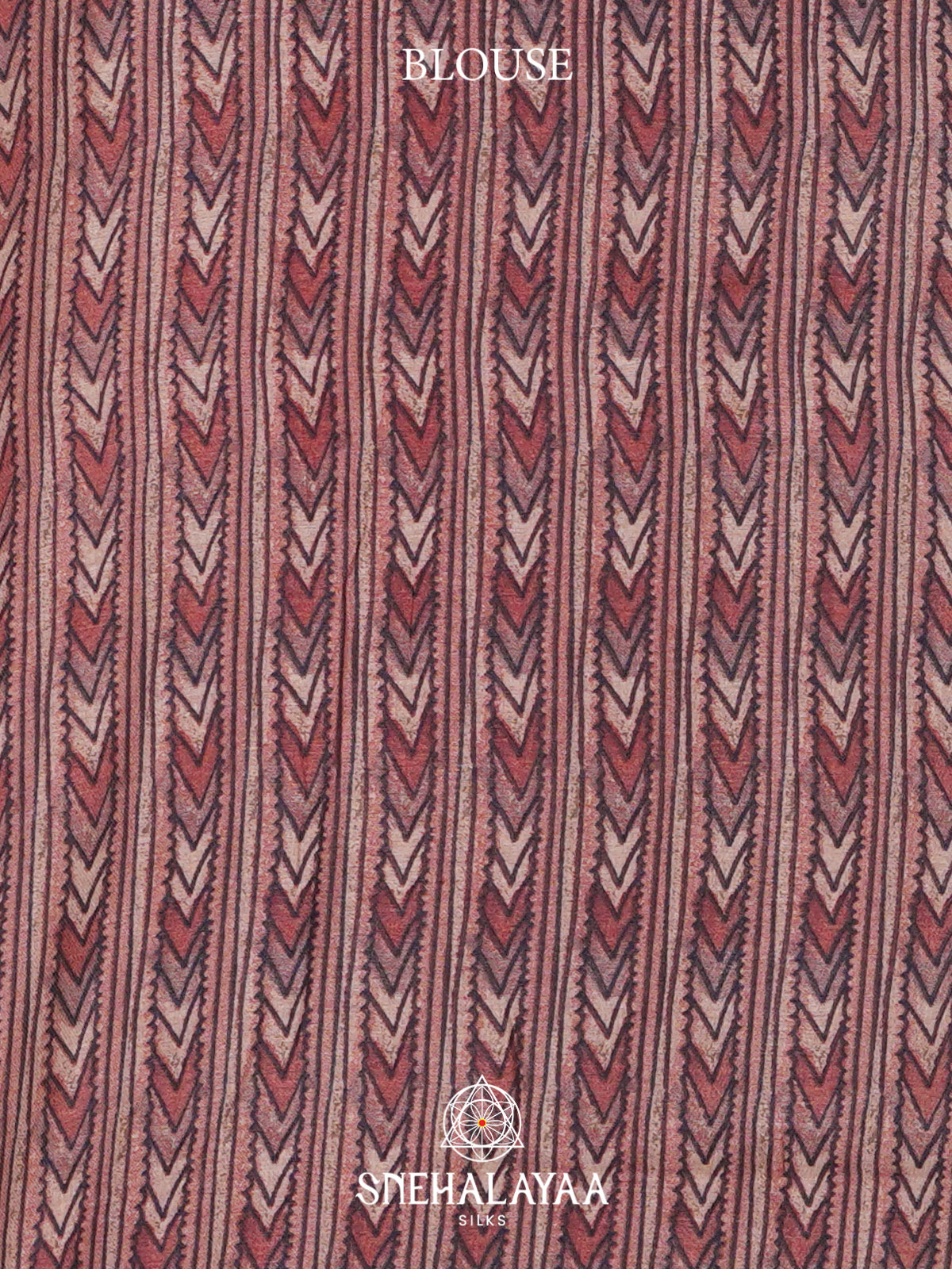 Pale Brown Tussar Saree