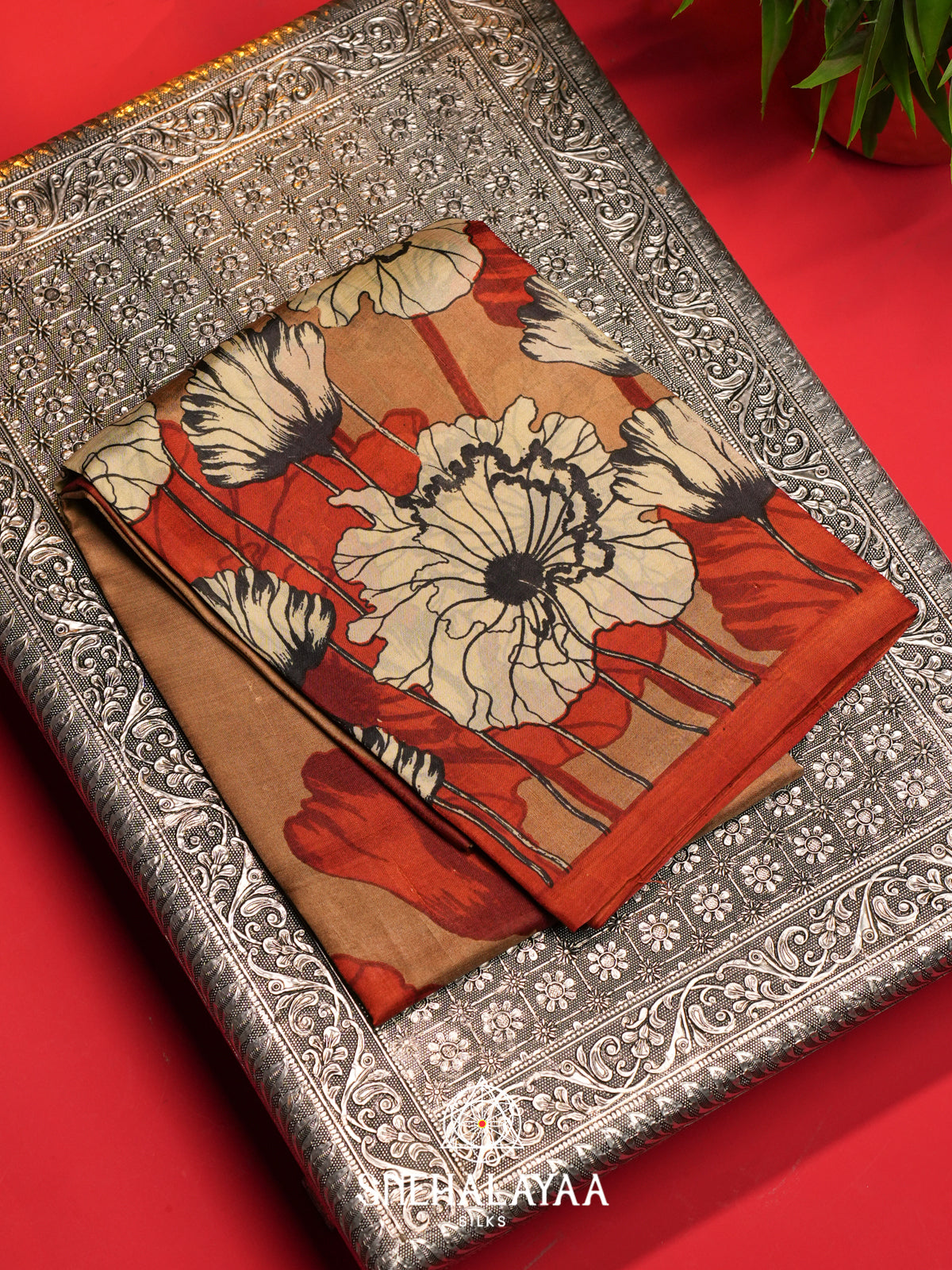 Beige  Tussar Saree