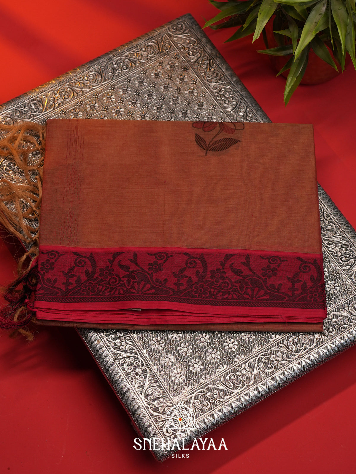 Brown Handloom Cotton Saree