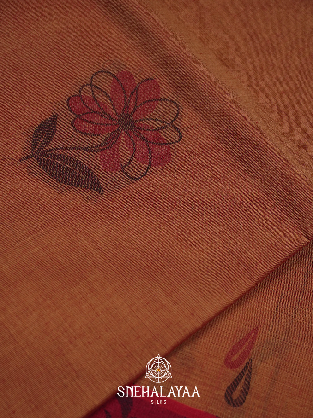Brown Handloom Cotton Saree