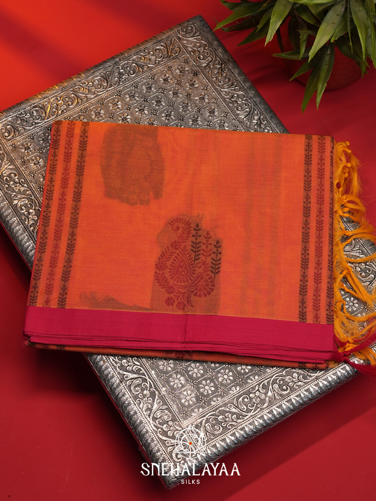 Orange Handloom Cotton Saree