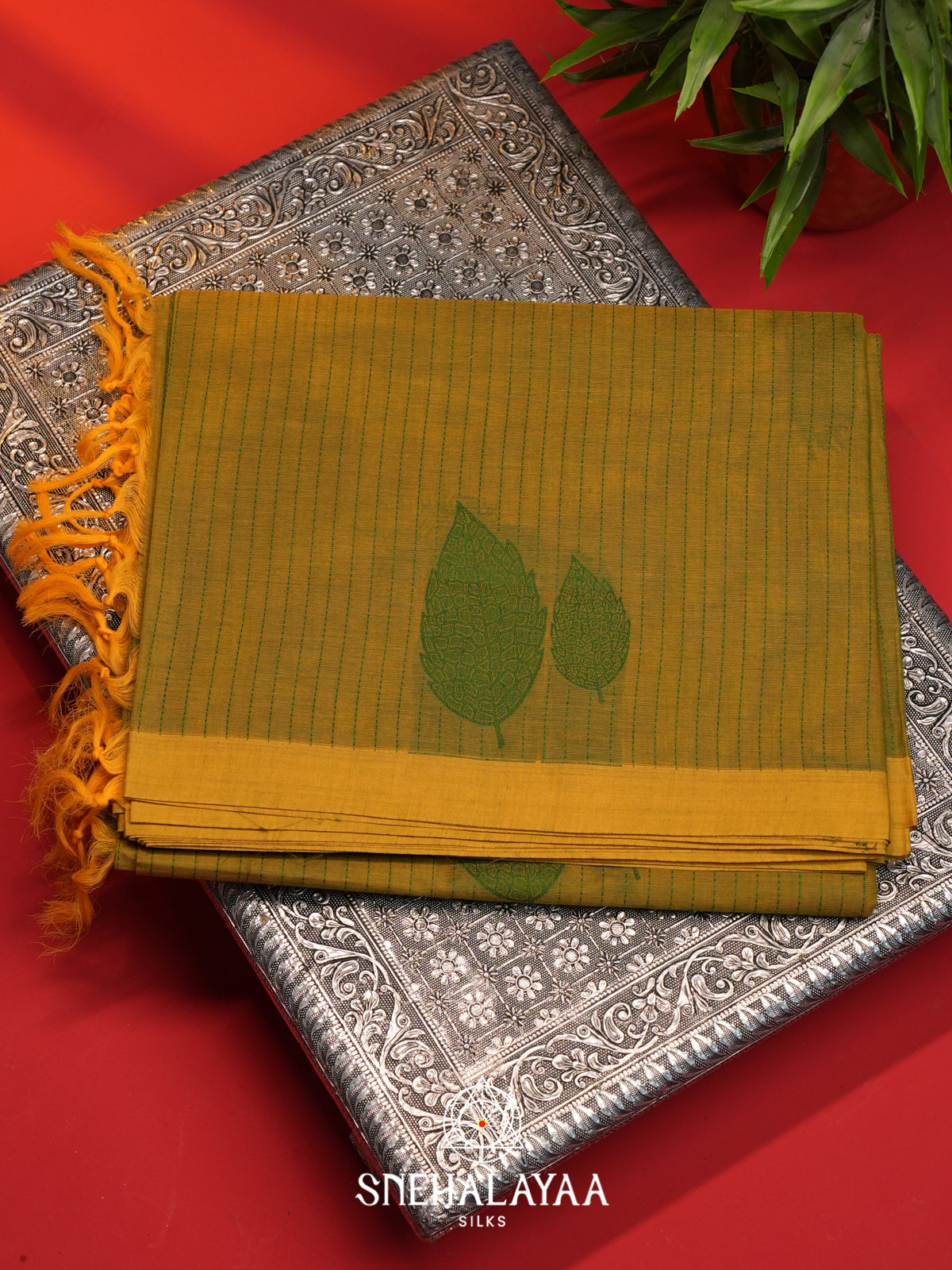 Mehendi Green Handloom Cotton Saree