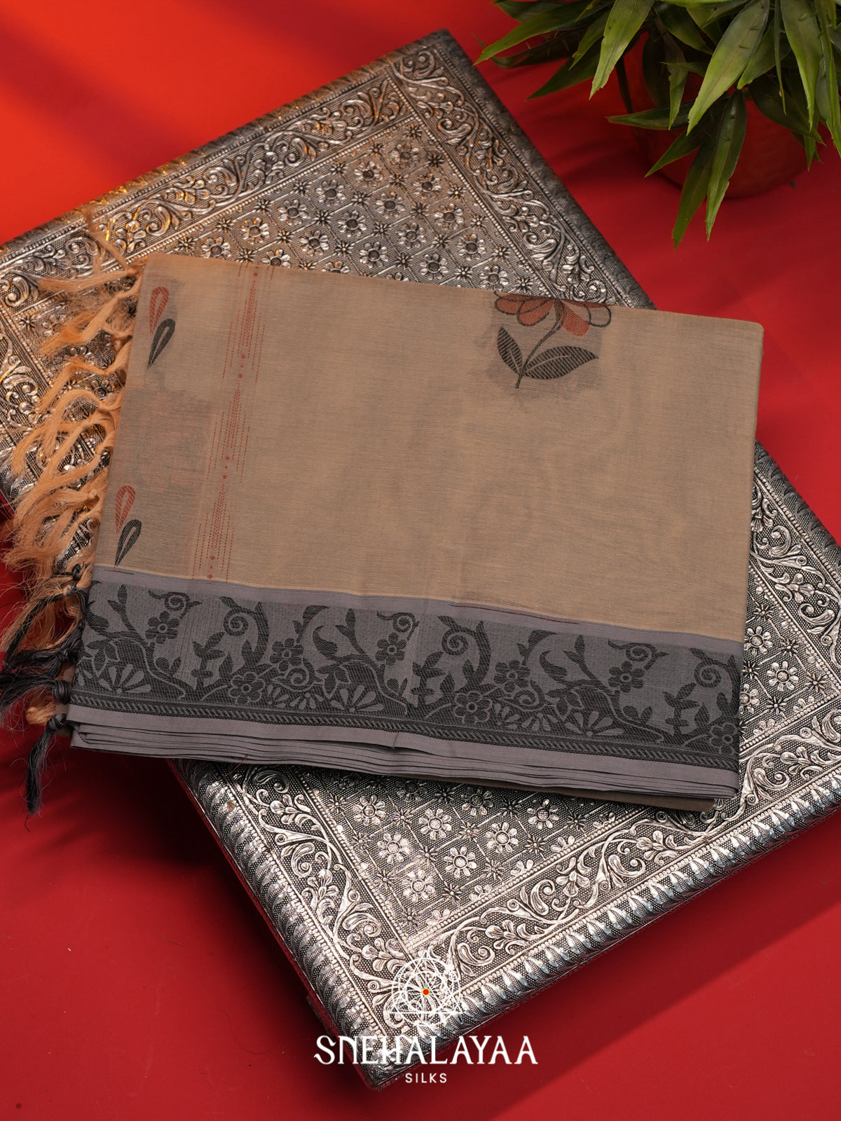 Taupe Handloom Cotton Saree