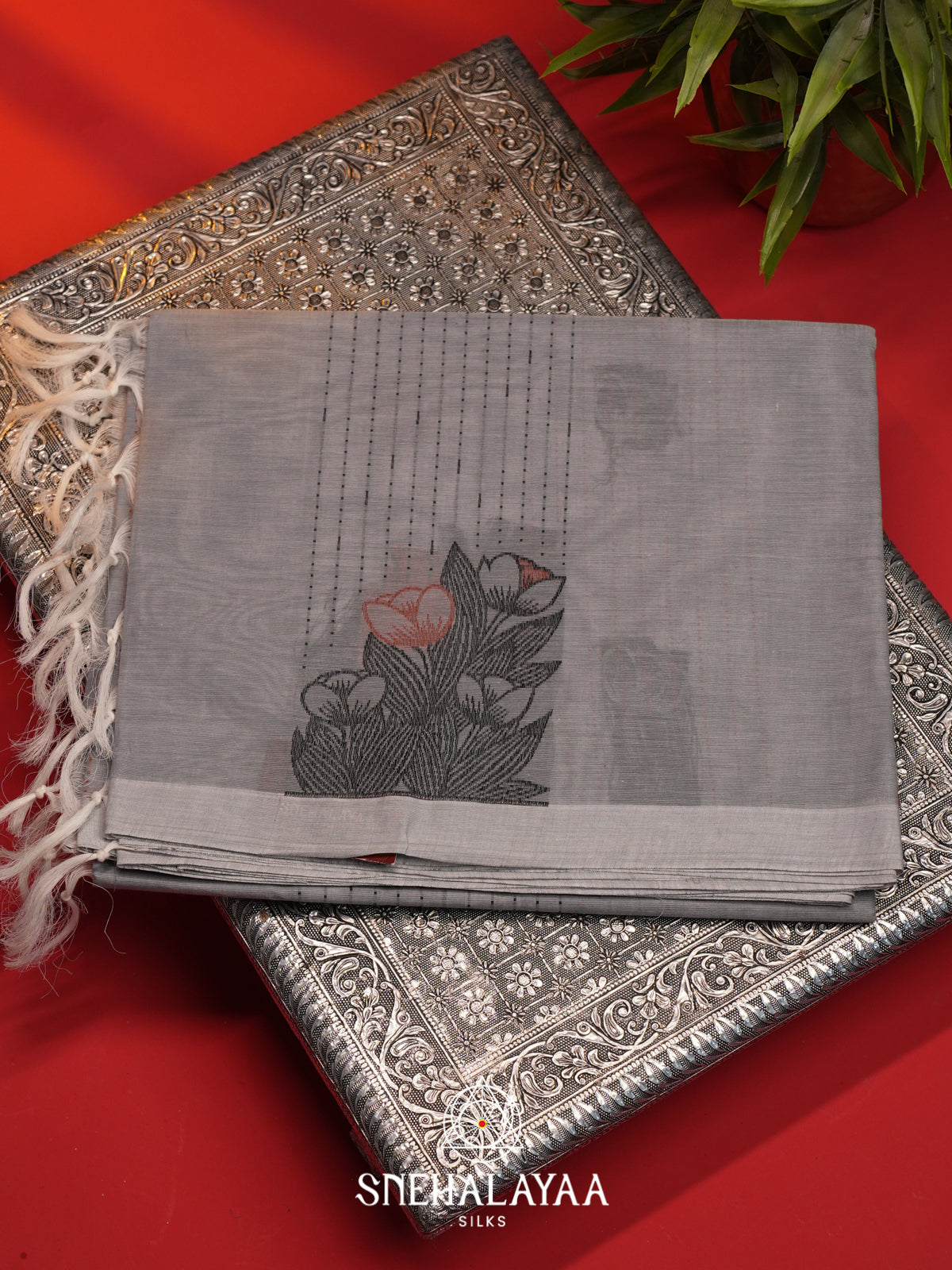Off White Handloom Cotton Saree