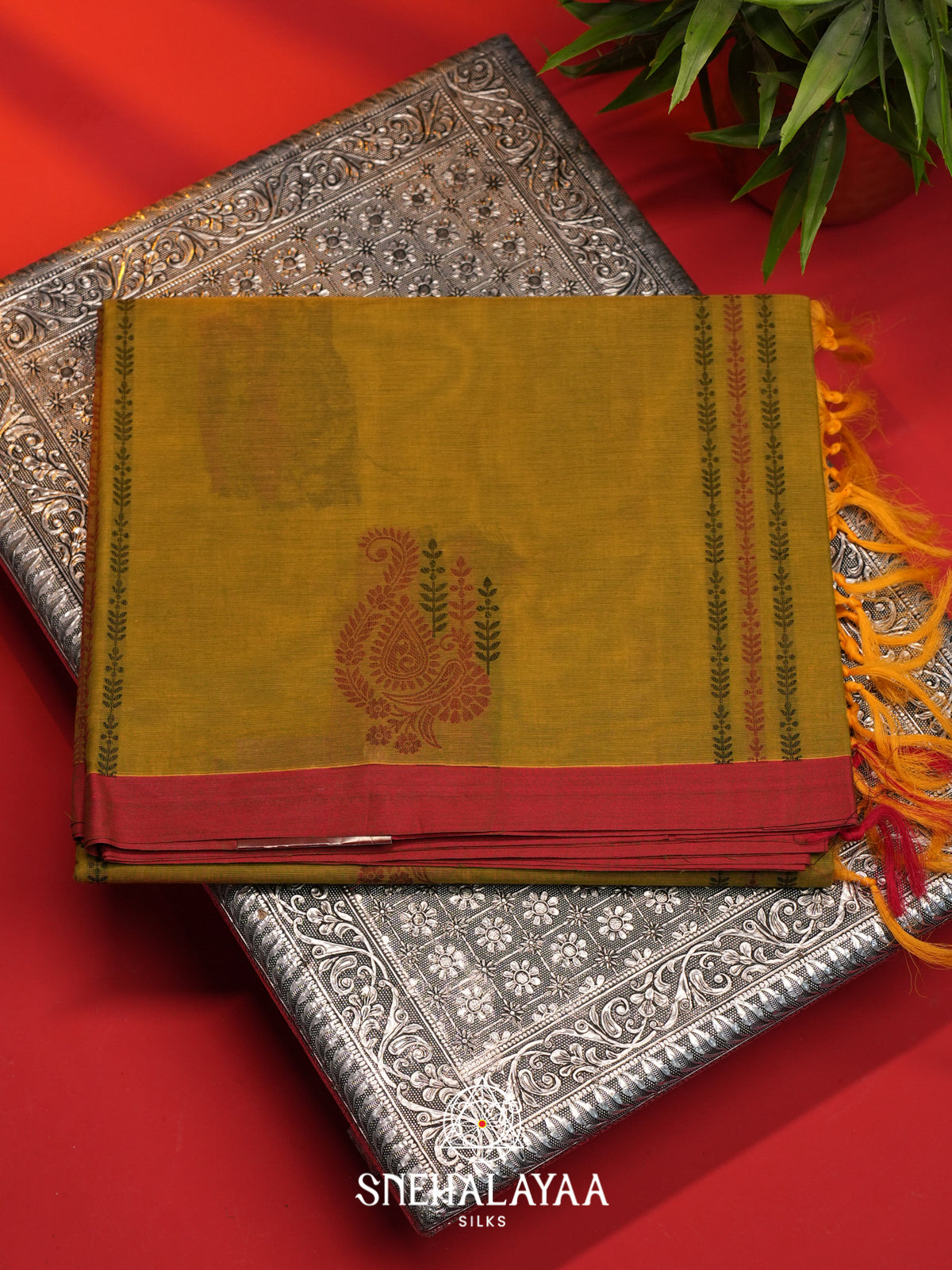 Mehendi Green Handloom Cotton Saree