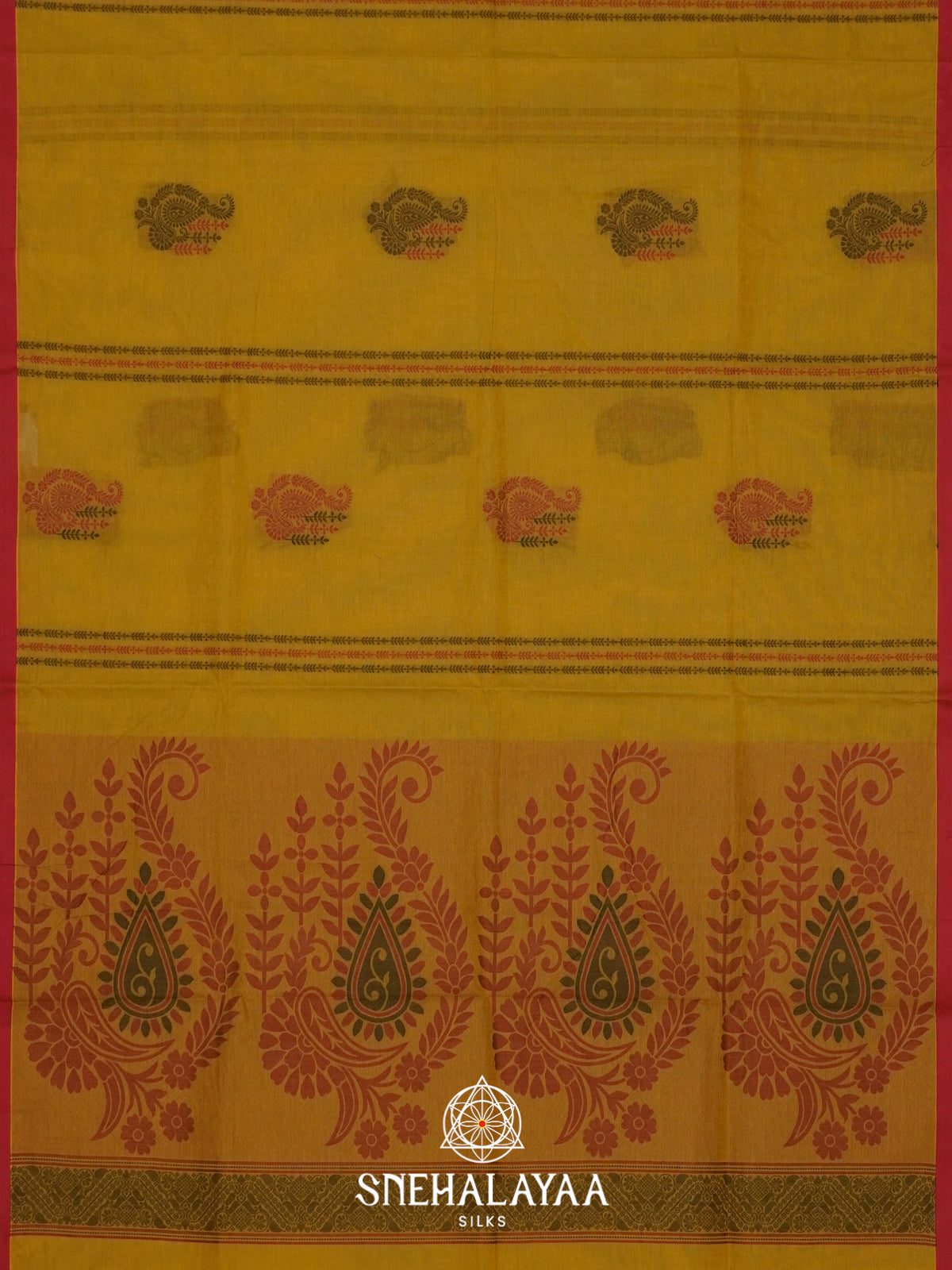 Mehendi Green Handloom Cotton Saree