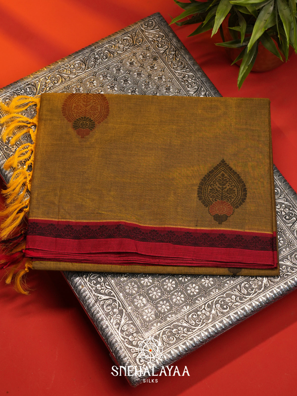 Olive Green Handloom Cotton Saree