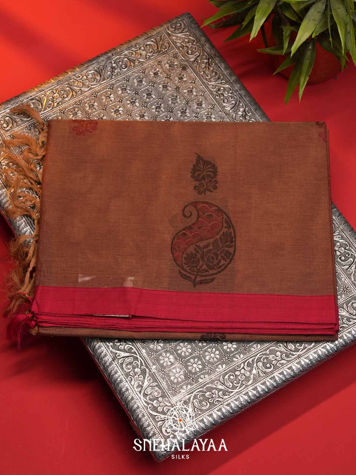 Brown Handloom Cotton Saree