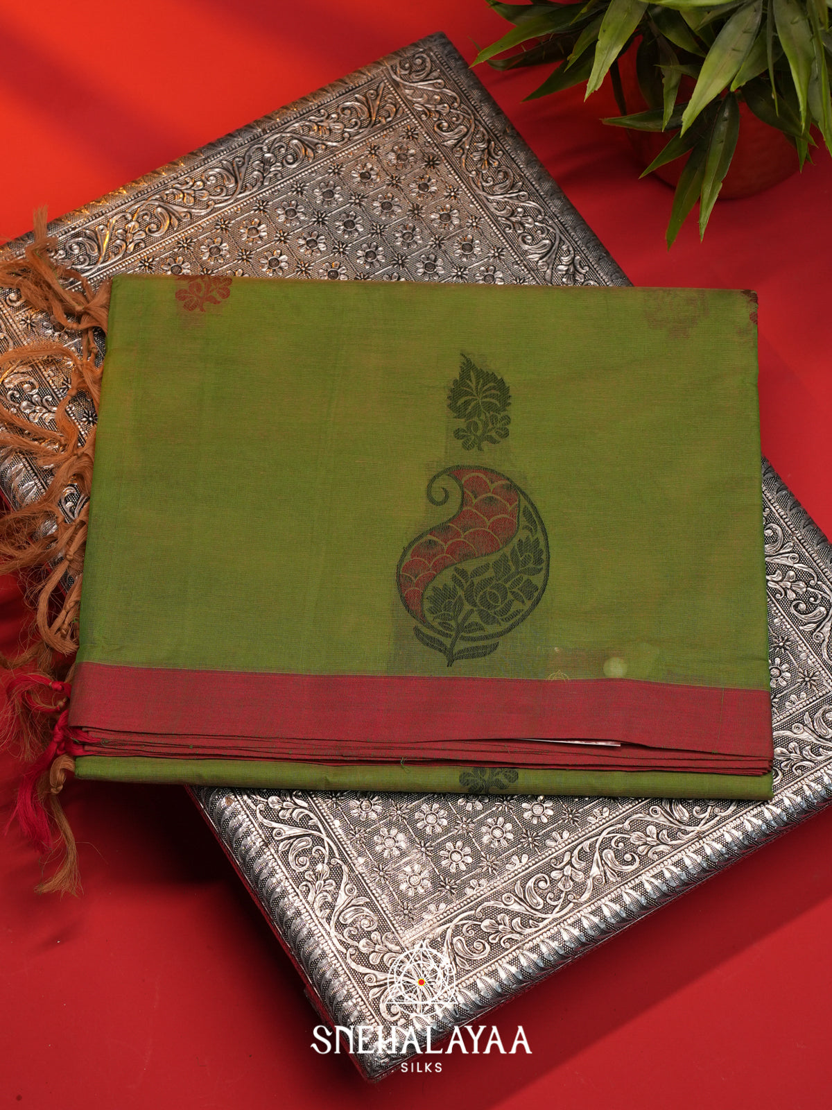 Green Handloom Cotton Saree