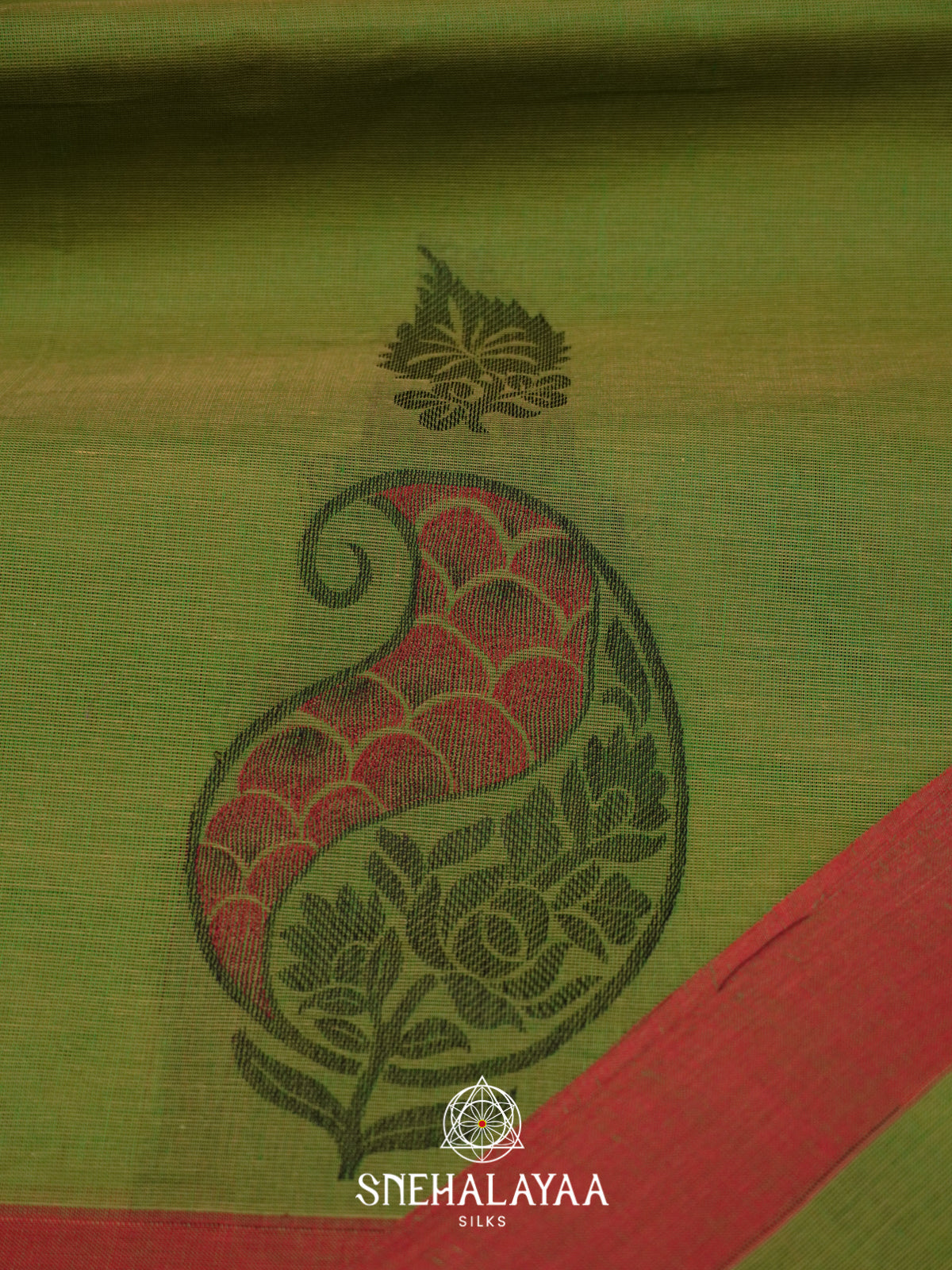 Green Handloom Cotton Saree