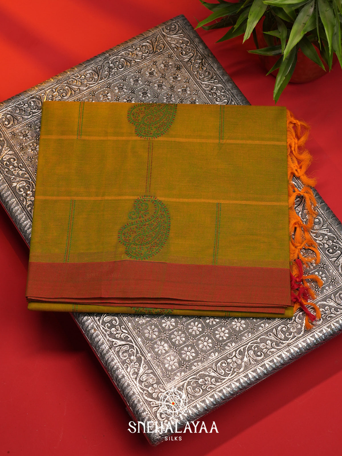 Mehendi Green Handloom Cotton Saree