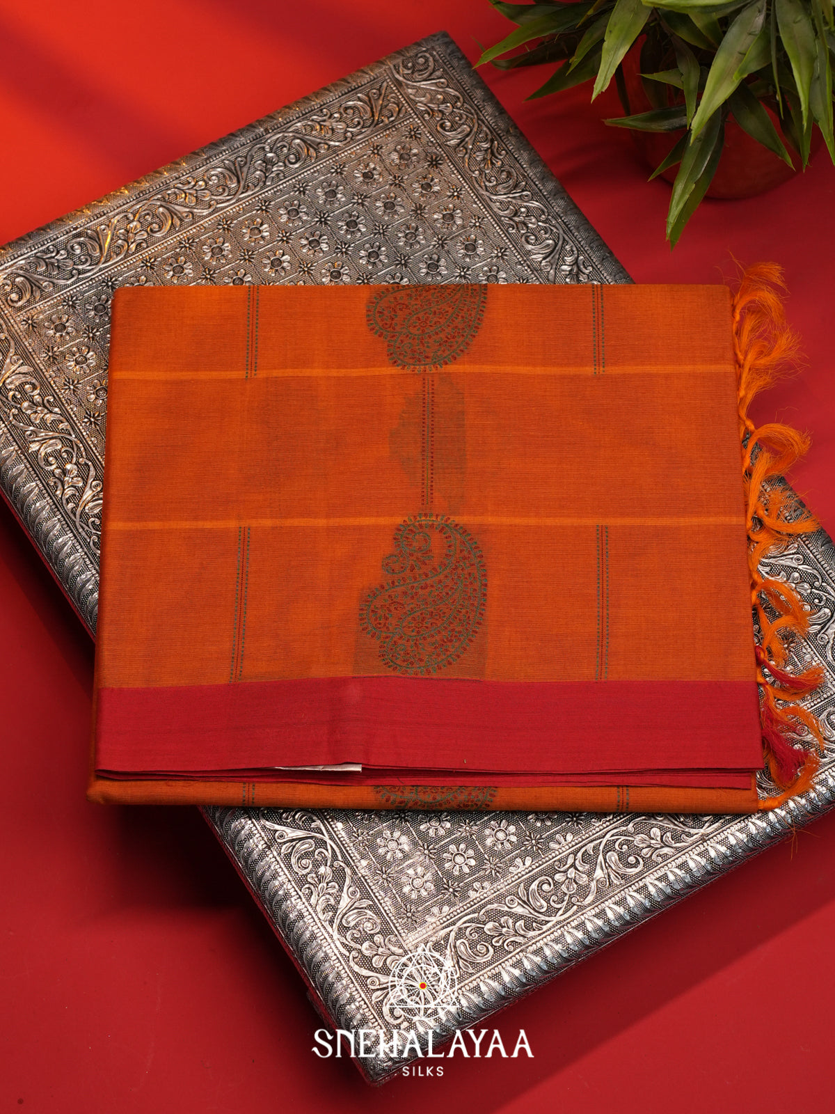 Orange Handloom Cotton Saree
