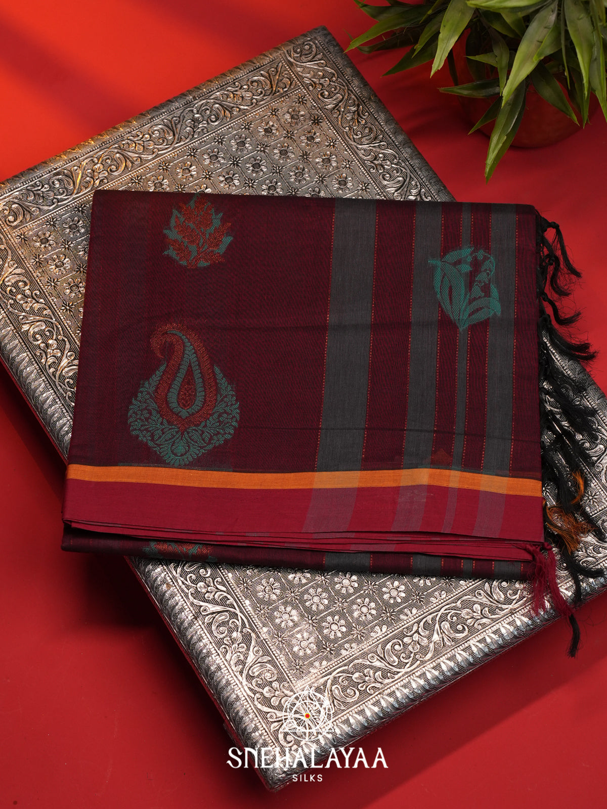 Purple Handloom Cotton Saree