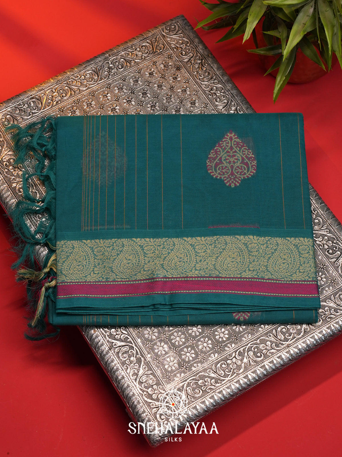Sea Green Handloom Cotton Saree