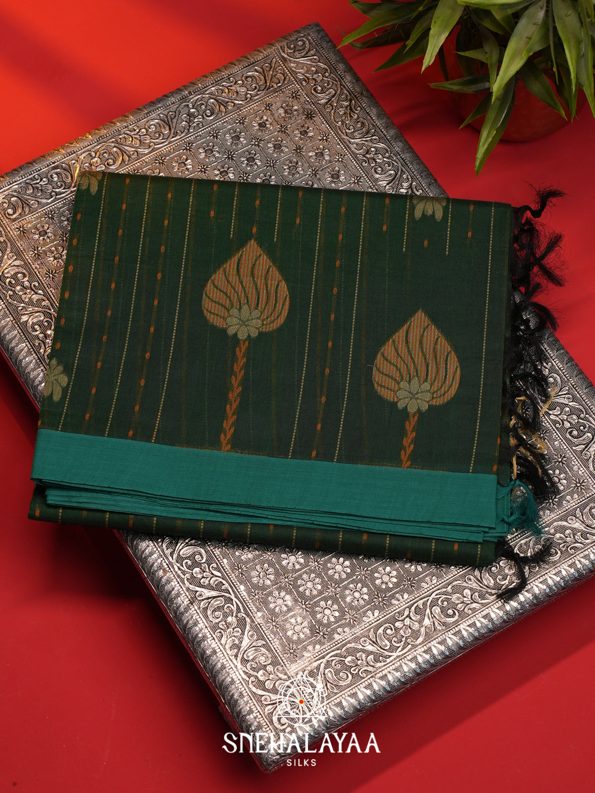 Green Handloom Cotton Saree