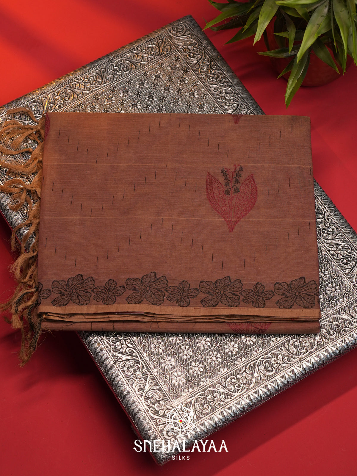 Terracotta Brown Handloom Cotton Saree