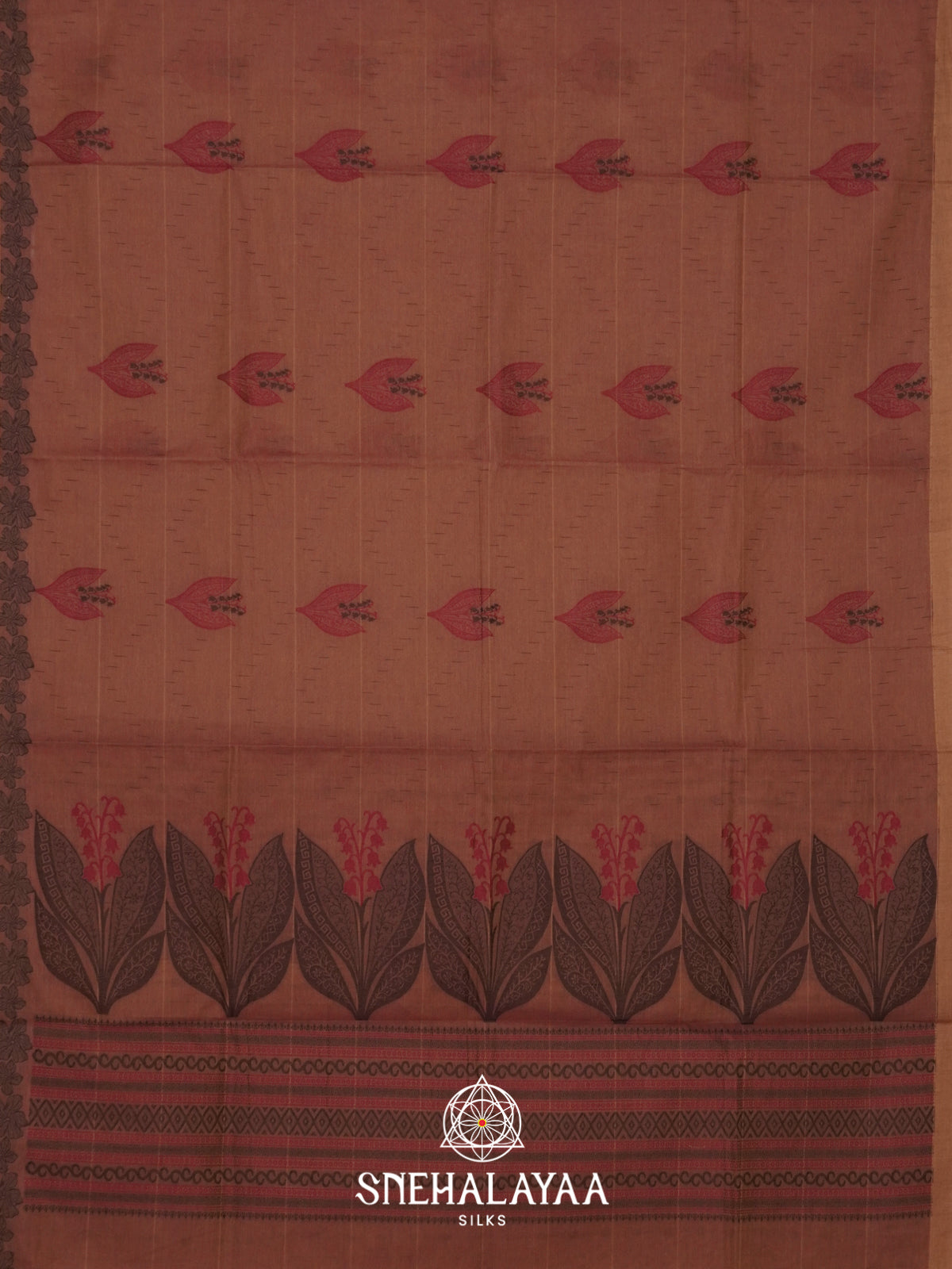 Terracotta Brown Handloom Cotton Saree