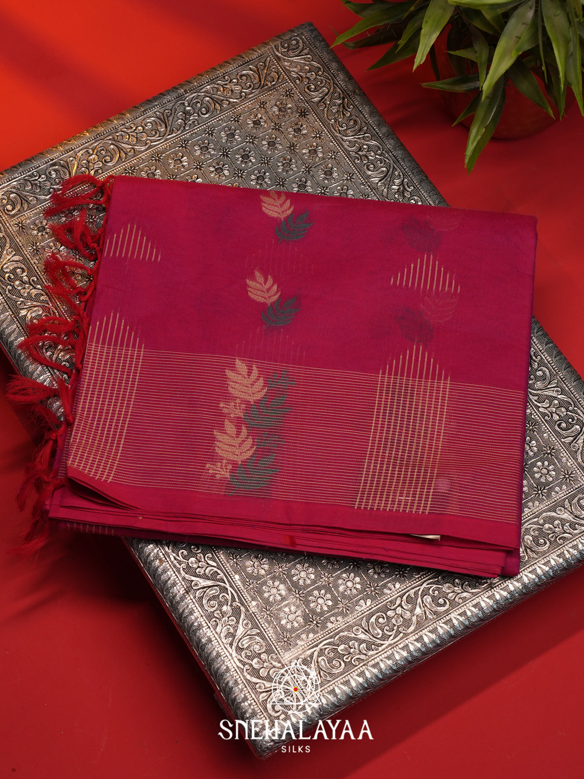 Magenta Handloom Cotton Saree
