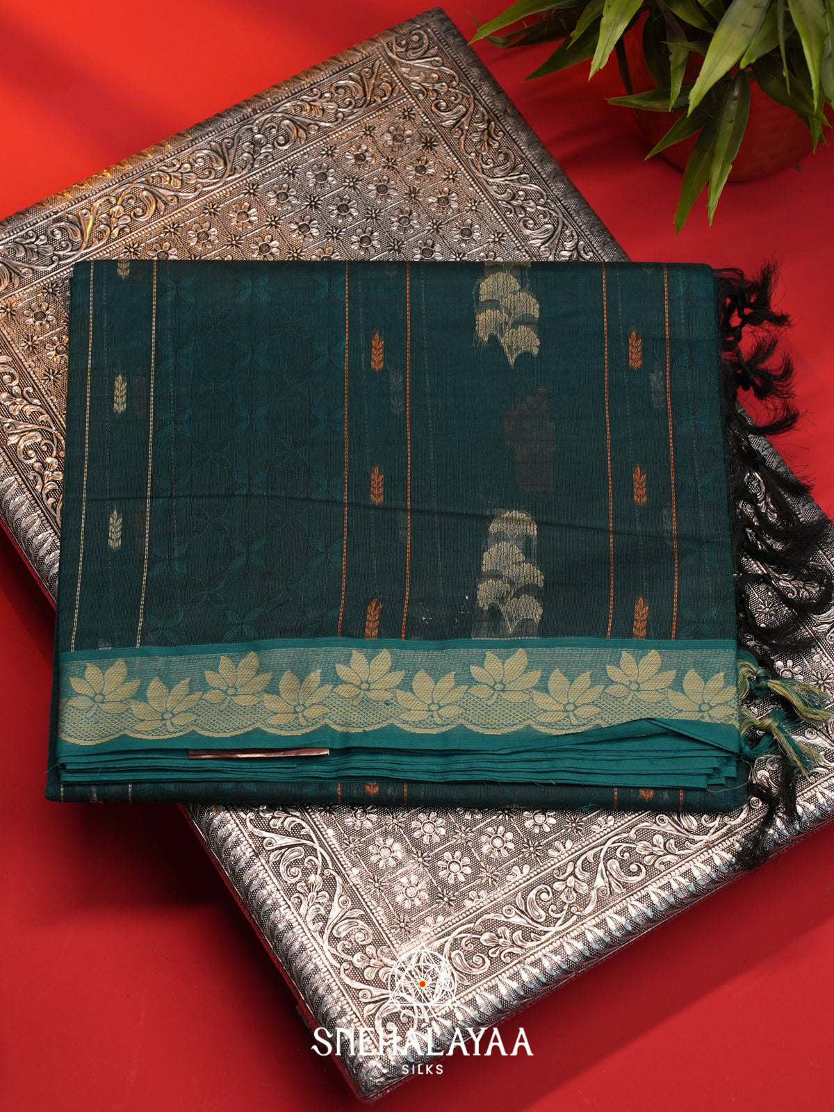 Pine Green Handloom Cotton Saree
