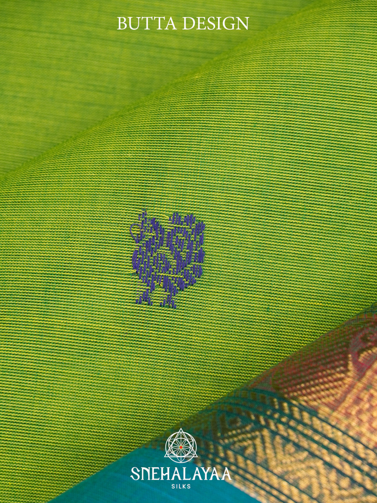 Green Kanchi Cotton Saree
