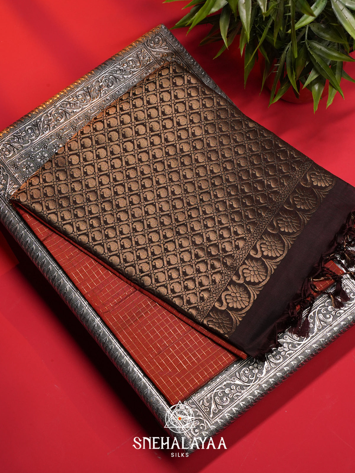 Burnt Orange Soft Silk Saree