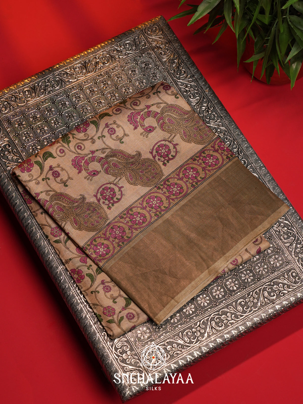 Beige  Tussar Saree