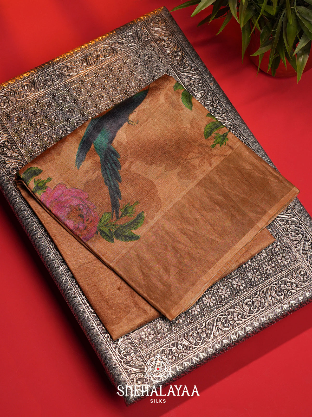 Beige  Tussar Saree