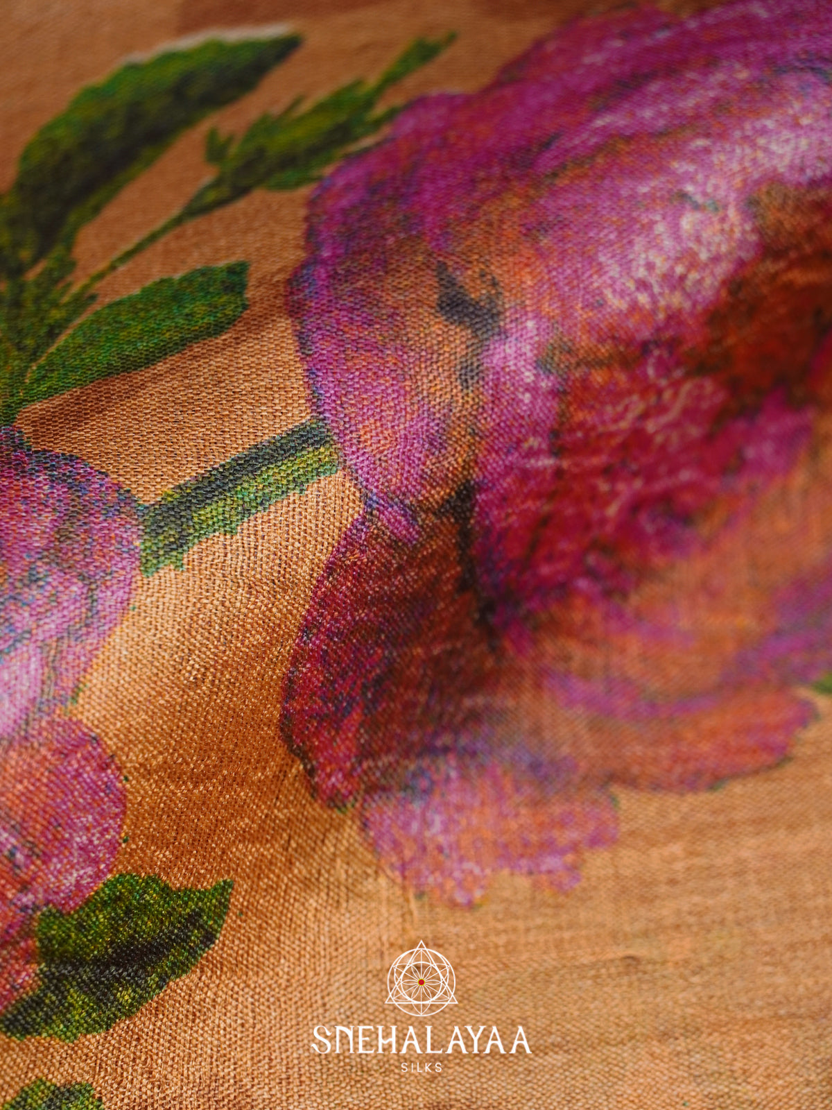 Beige  Tussar Saree