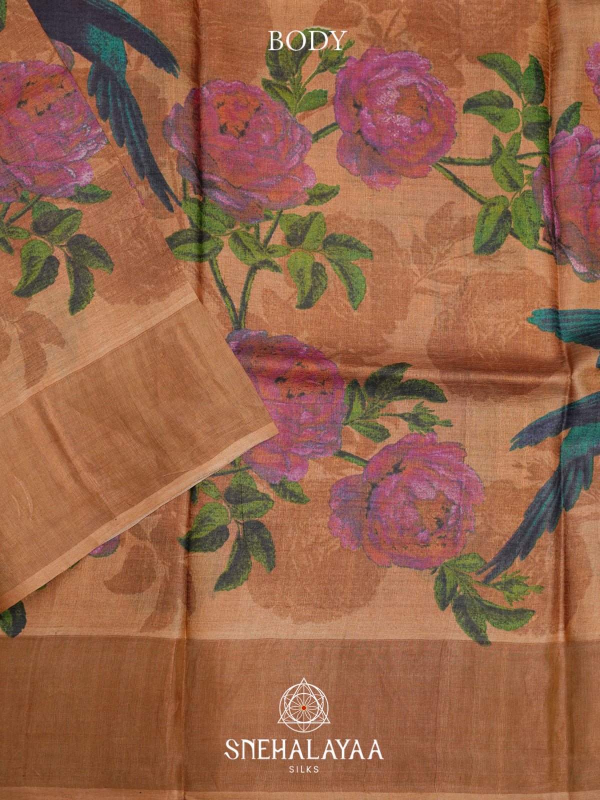 Beige  Tussar Saree