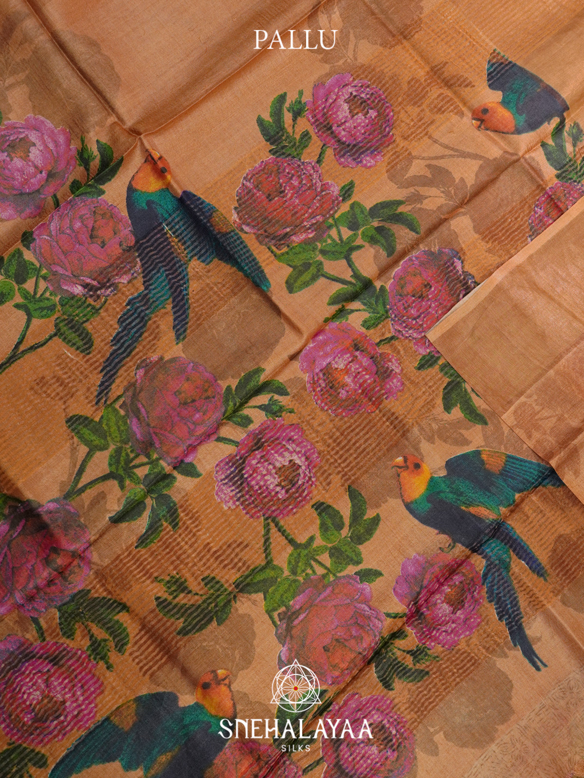 Beige  Tussar Saree