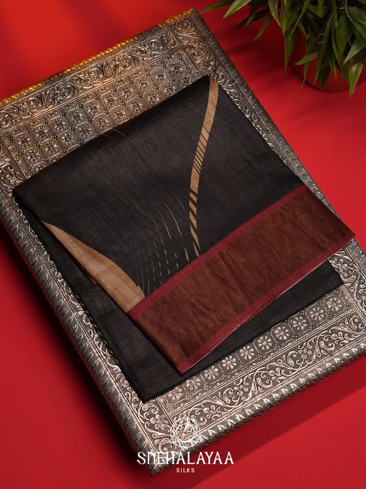 Beige  Tussar Saree