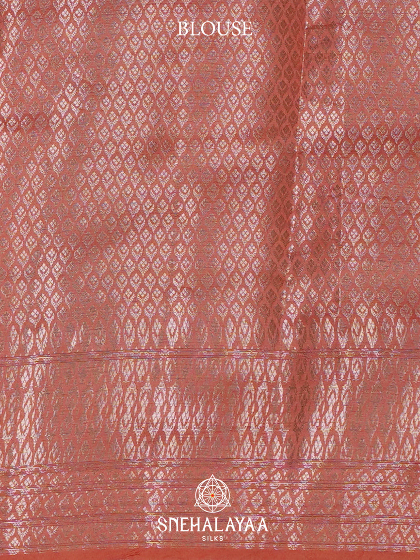 Grey Dupion Silk Saree